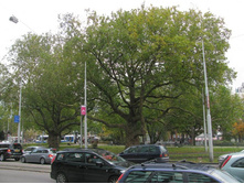 ����-������� � ���������� �������