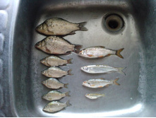 09.08.2010 19:15:35