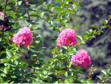 ���� ���� ������, �� ������ ��� ����