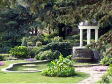 ��� ������������, ��������, ������