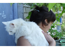 ���������� ���� ������� � ����������!)