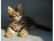 11.08.2010 , ������ 8 ������