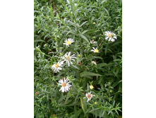 ����� ���������������