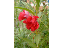 ������� ��������� � ��������� �����