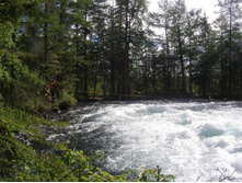 ���������� ������������� ���� (����)