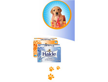 ��������� ������ ����������� � ������������