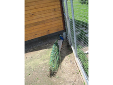 ������ ��̣���