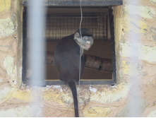 ���������� ������