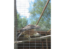 ���������� �����