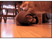 �������!