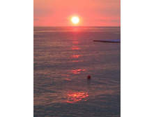 � ������ ����� �� ���� (6)