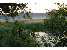 2009� ���� �����