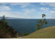 ����� ����