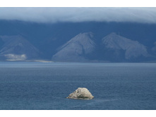 �.����, �� ��� - ��� �������