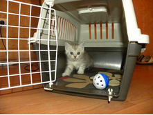 �� �������� � ����� ���