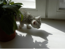 ���� � �����