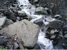 �� ����� �� �����...