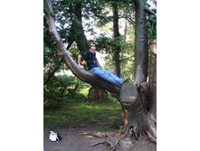 ���������... (1)