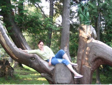 ���������... (4)