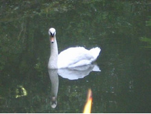 ���������... ���������..