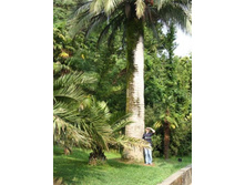 ���������... (12)