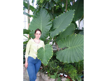 ���������... (16)