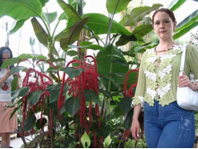 ���������... (17)