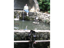 ���������... �� ��������..