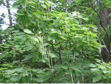 ���������... (20)