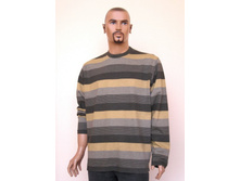 ���.1529-� ���� 650 ���.