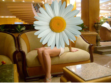 ��������� 1 PanTigra