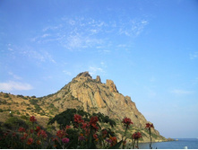 ������ �� ������������� ����