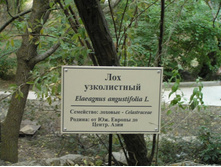 ��� ����������������� ������������