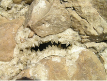 ������� � �����