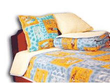 ������ ���������