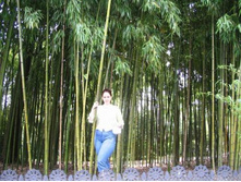 ���������... (25)