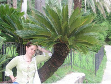 ���������... (29)