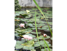 ���������... �����....