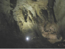 ������������ ������ (14)