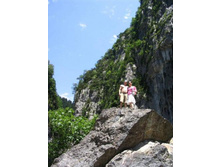 ������� �� 12 �������