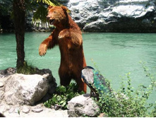 ������� ����� ������ � ���������