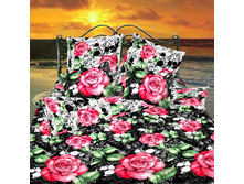 ������ �������