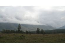 �����������!)