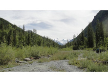 � ��� � ��� ����� - ������!)