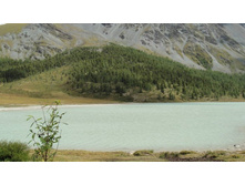 ��. ���������