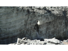 ��� �������� ������� ������������