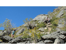 ���������� ������ �� ���������)