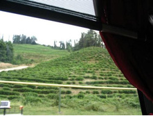 ��������� ���...