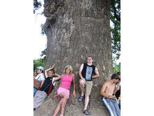 ��� ��������� ���������