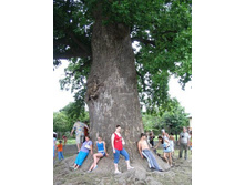 ��� ��������� ��������� (2)